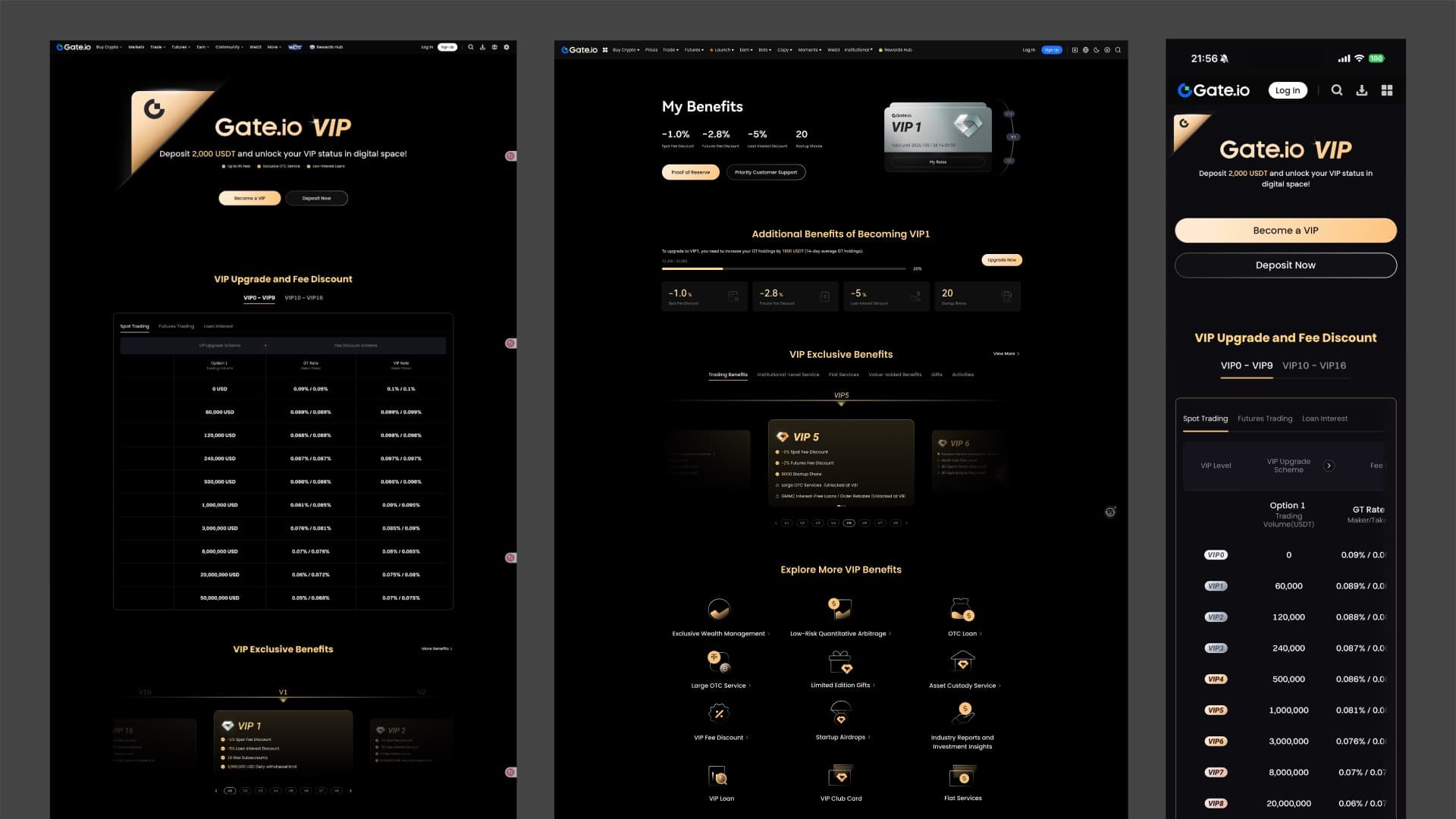 Gate VIP page before the redesign
